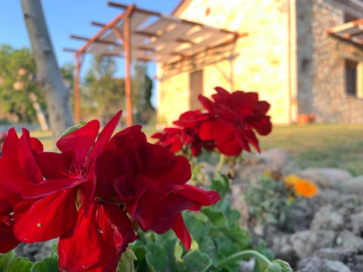 Apartmán To Petrino Spiti Posidi Exteriér fotografie